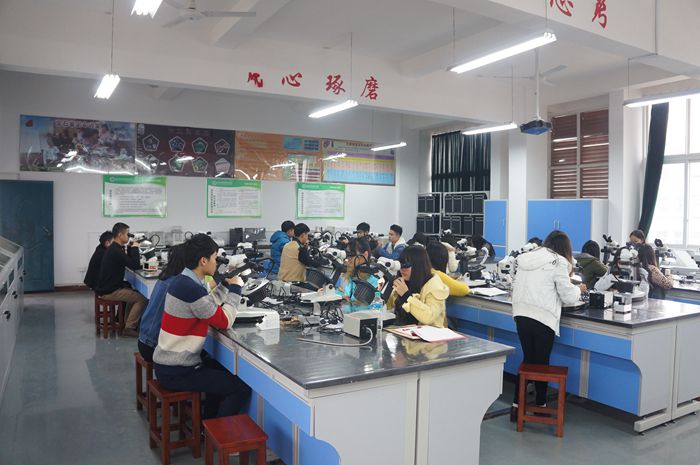 点击浏览下一页