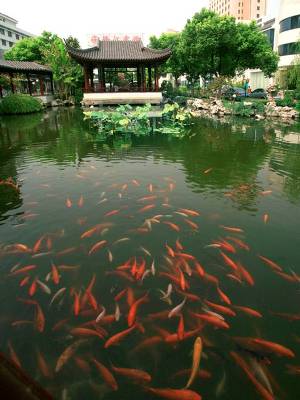 点击浏览下一页
